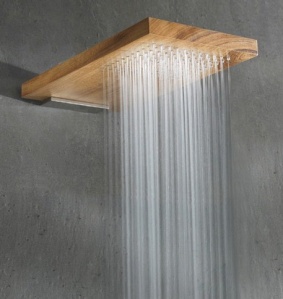 Wood-Shower-head